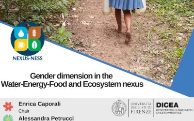 Workshop “Gender dimension in the WEFE Nexus”