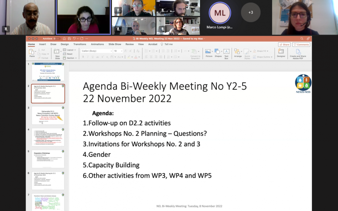 NEL Bi-Weekly status Meeting