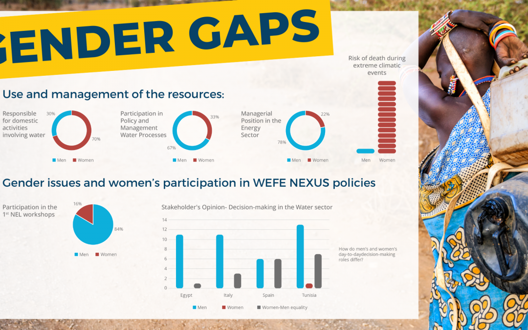 Gender gaps in the water-energy-food and ecosystems nexus