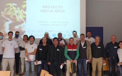 First Spanish NEL workshop